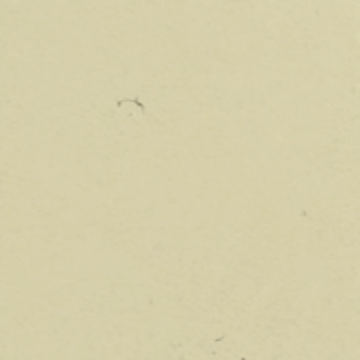 Pearl White PM-502 laminate surface