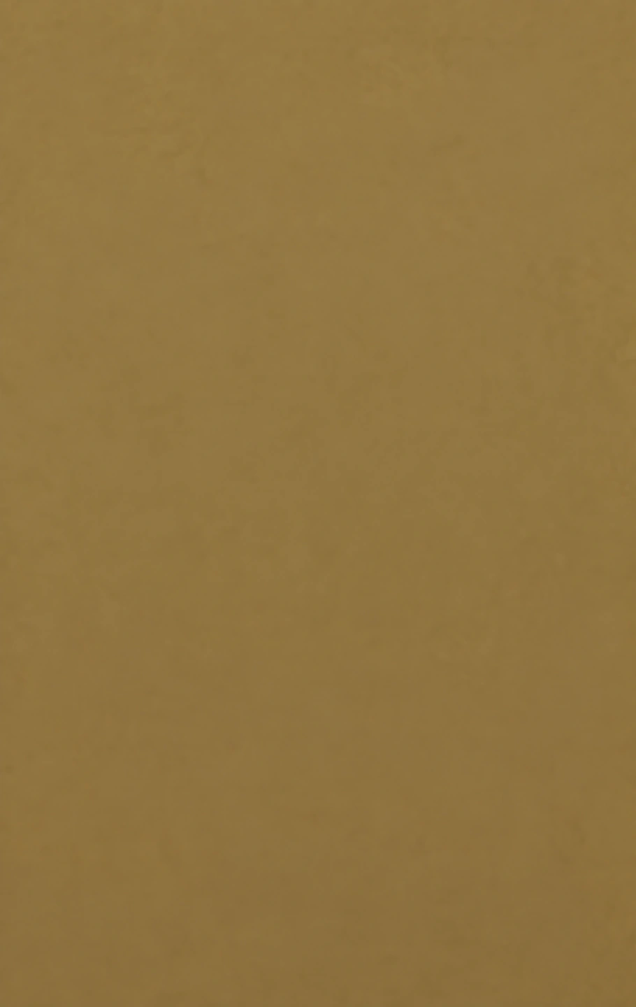 Caramel PM-5045 laminate surface