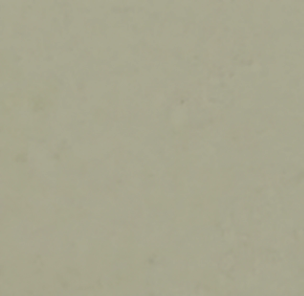 Light Grey Matt PM-5051 laminate surface