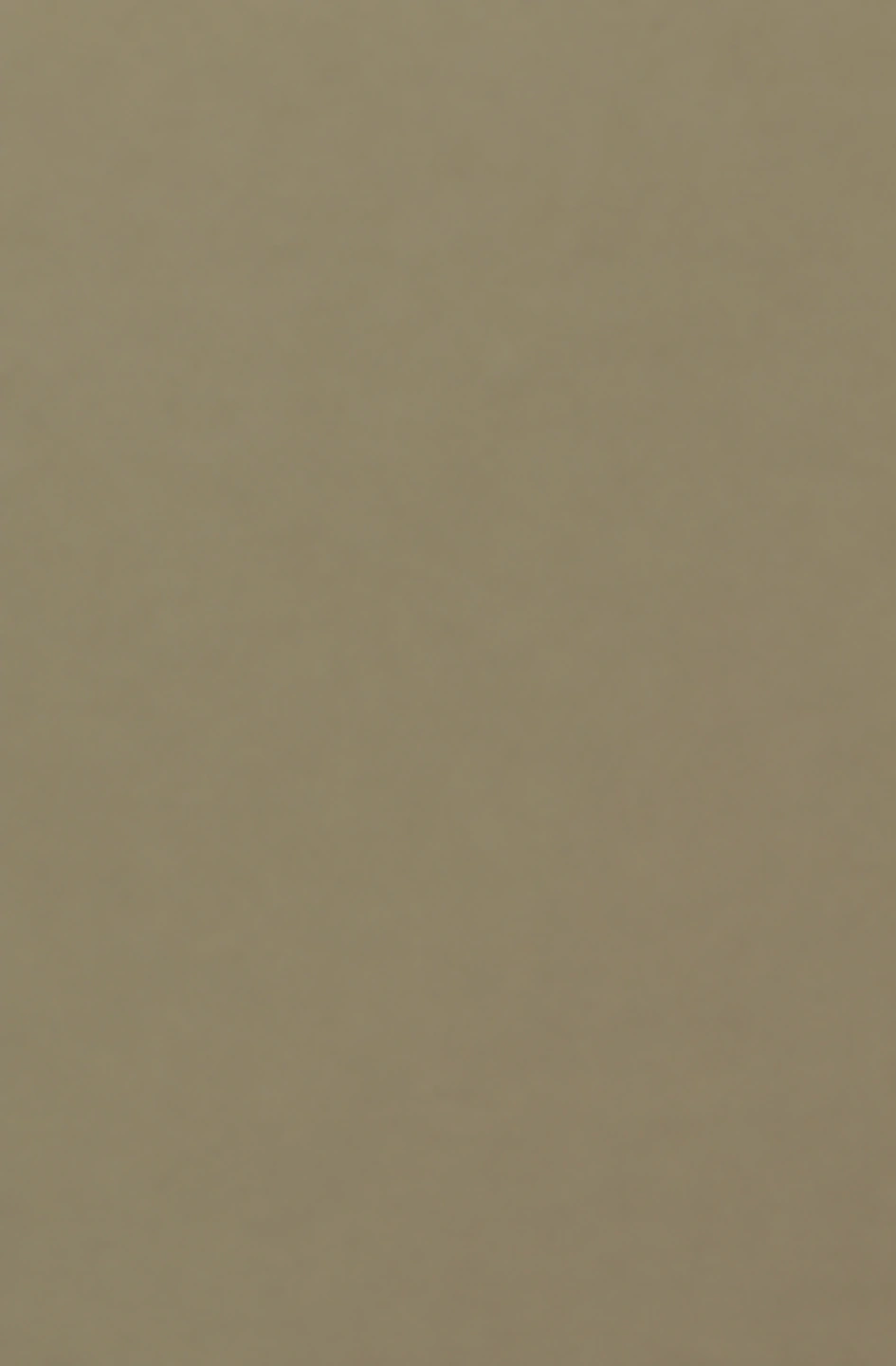 Latte PM-5057 laminate surface