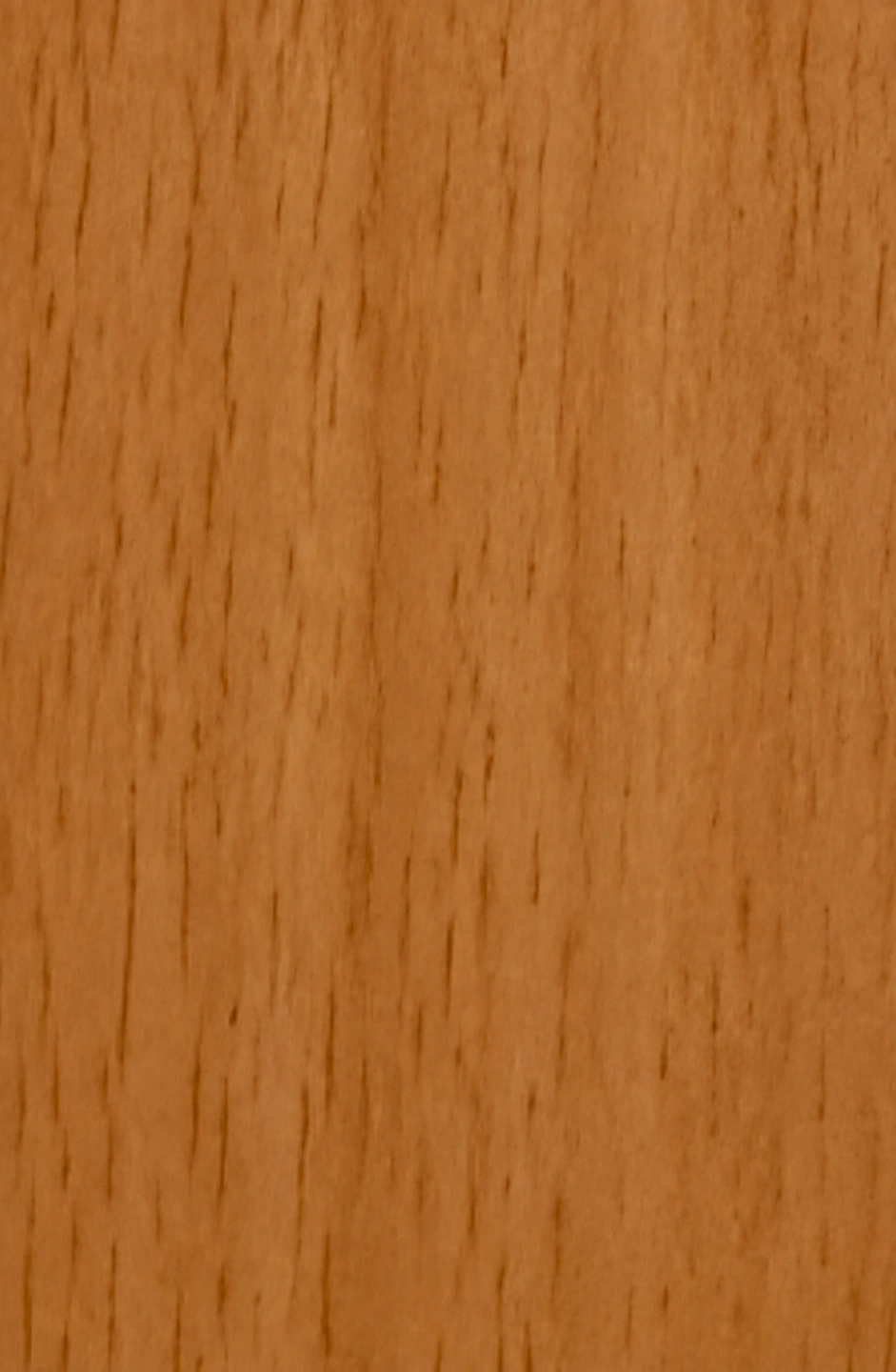 Natural Beech PM-706 laminate surface